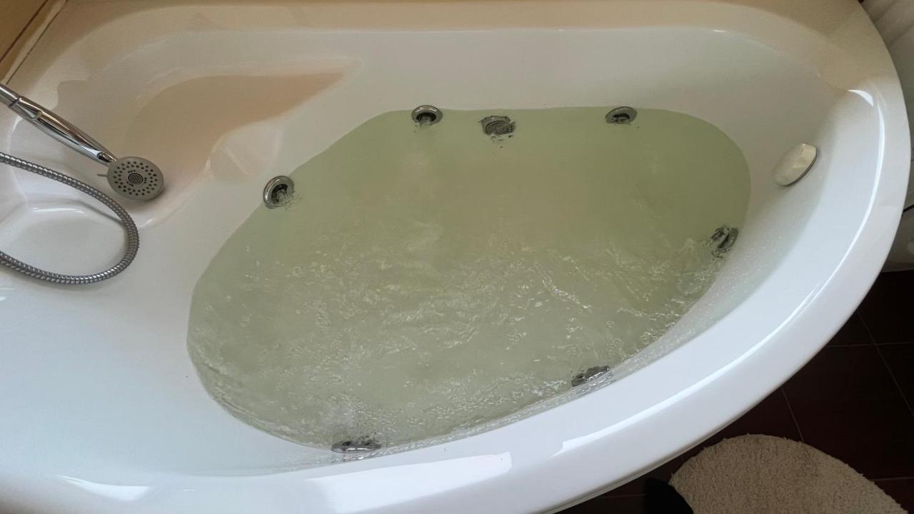 Plopilor Sdtudio Apartment Клуж-Напока Екстериор снимка