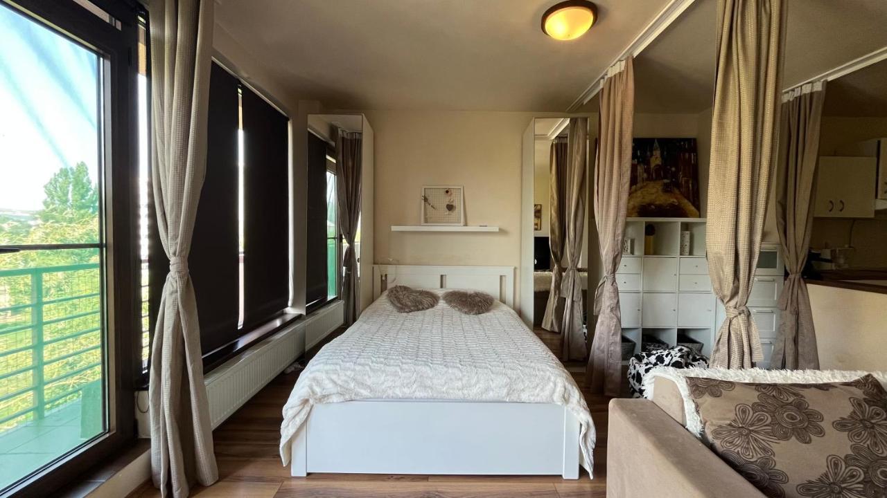 Plopilor Sdtudio Apartment Клуж-Напока Екстериор снимка