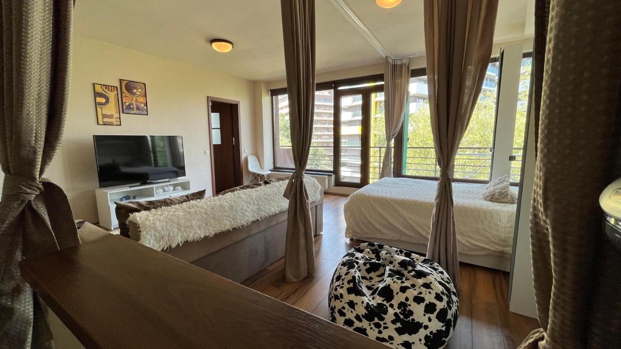 Plopilor Sdtudio Apartment Клуж-Напока Екстериор снимка