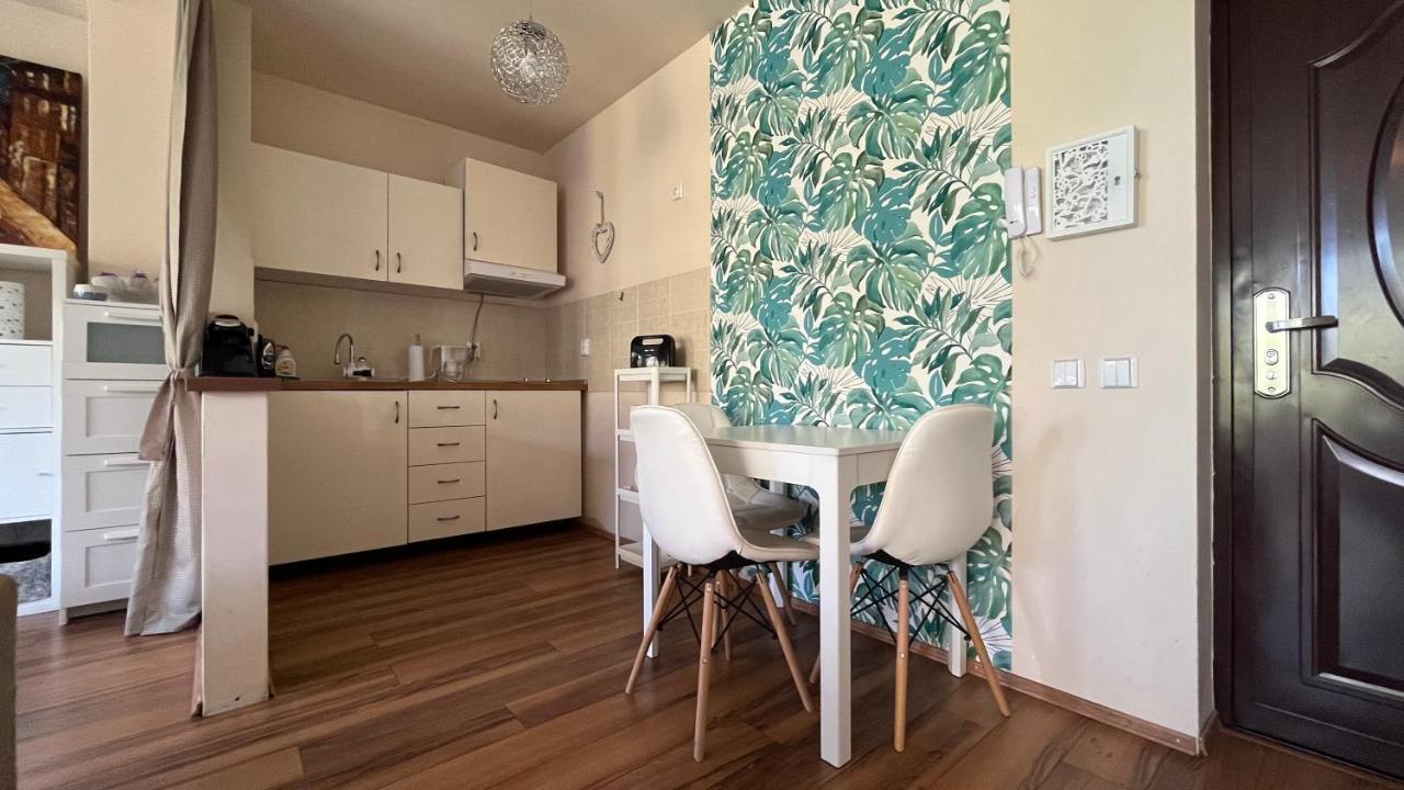 Plopilor Sdtudio Apartment Клуж-Напока Екстериор снимка